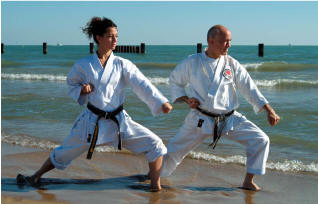 The international traditional karate association logo