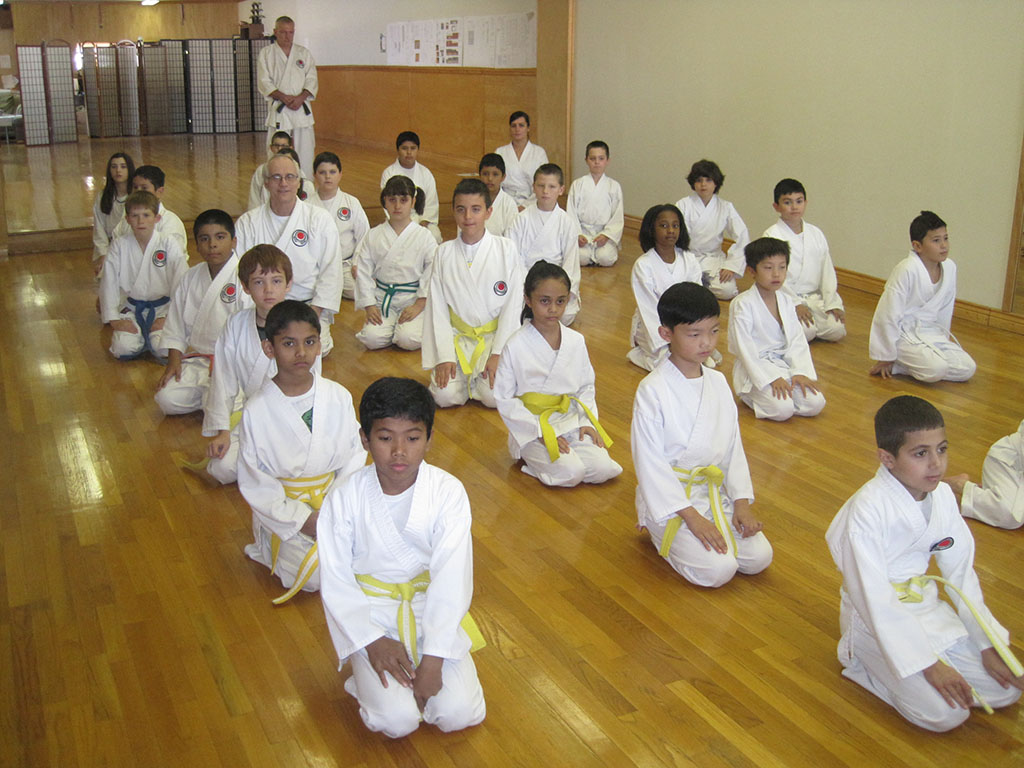 The international traditional karate association logo